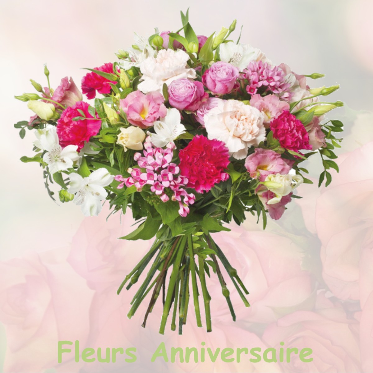 fleurs anniversaire VILLONCOURT